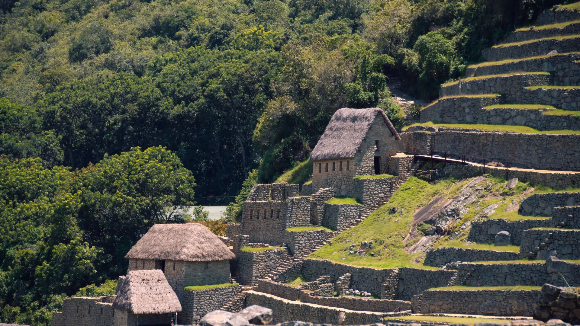 Sin título (10)