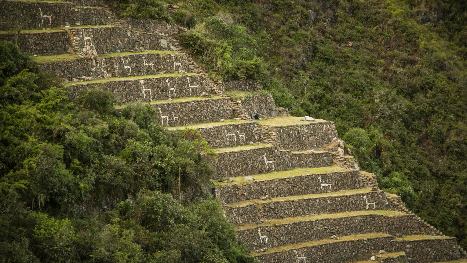 Sin título (7)